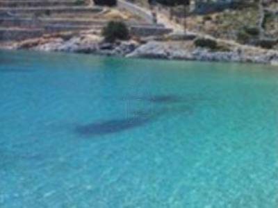 ΟΙΚΟΠΕΔΟ 7.000ΤΜ  600.000ΕΥΡΩ