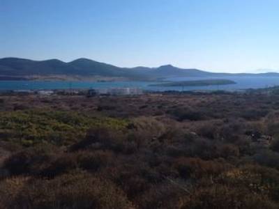 ΟΙΚΟΠΕΔΟ 1.000ΤΜ  300.000ΕΥΡΩ