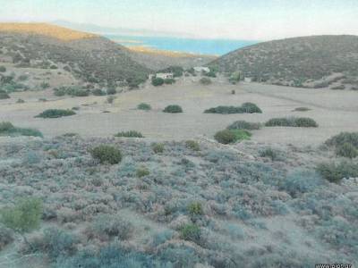 ΟΙΚΟΠΕΔΟ 11.000ΤΜ  200.000ΕΥΡΩ